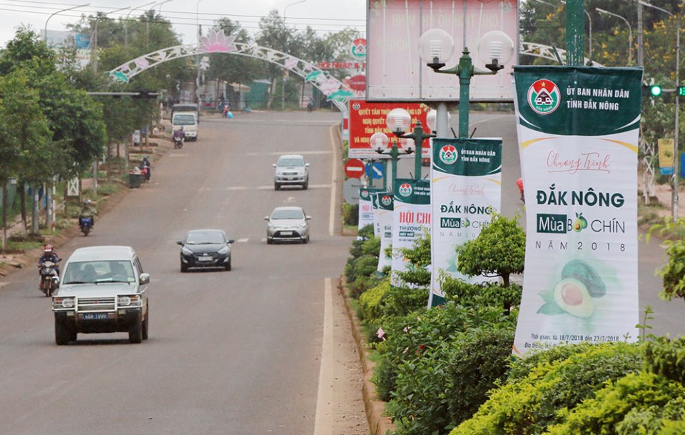 Mùa Bơ Chín Đắk Nông 2018 – BỘT QUẢ BƠ TRIVE ĐÃ SẴN SÀNG