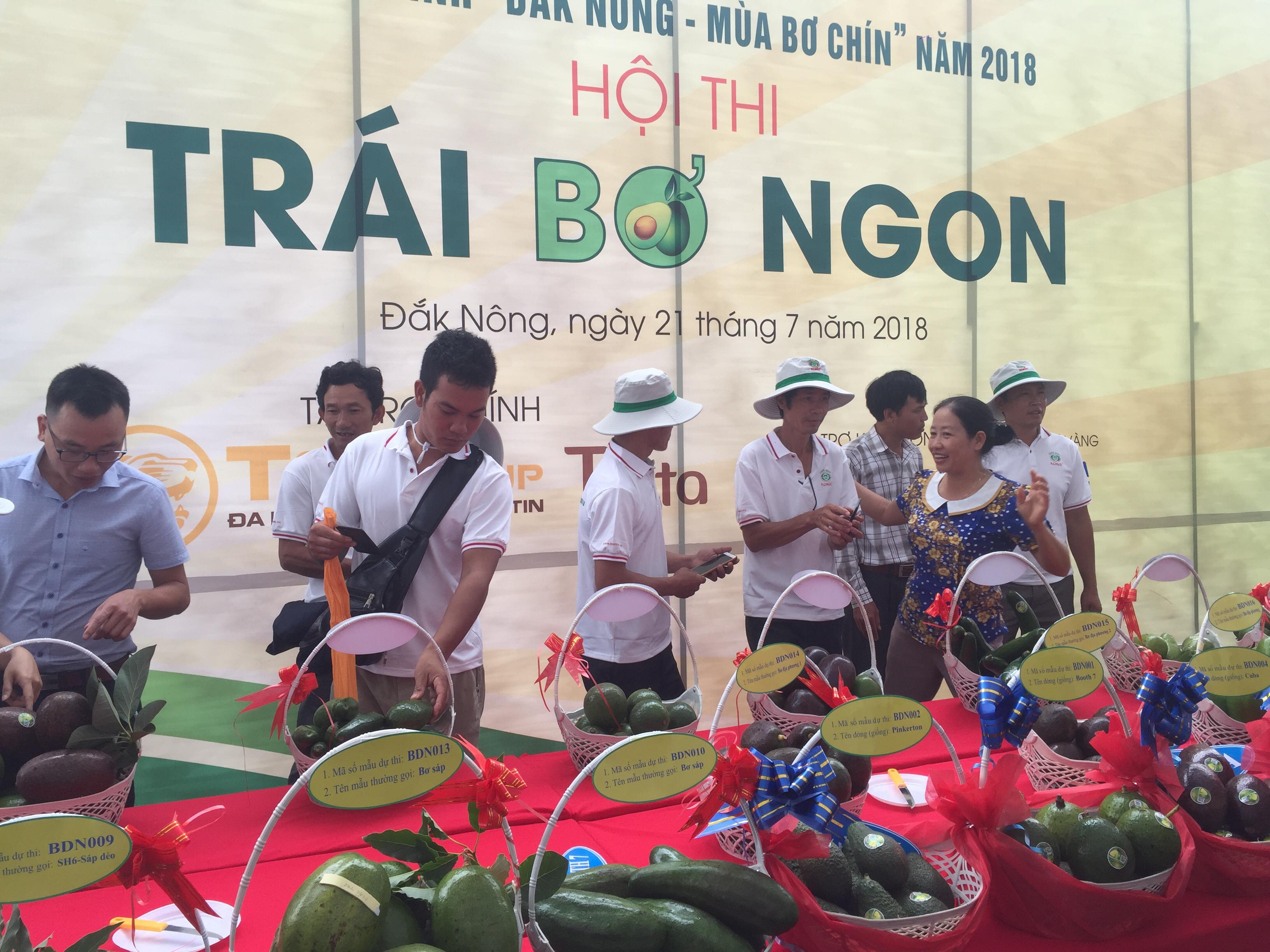 Công ty TRÍ VIỆT đồng hành cùng “Đắk Nông – Mùa bơ chín” năm 2018