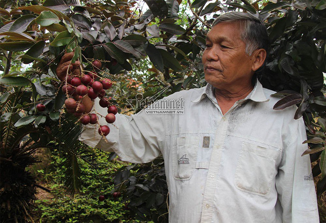 TỔNG HỢP KIẾN THỨC HAY DÀNH CHO NHÀ NÔNG