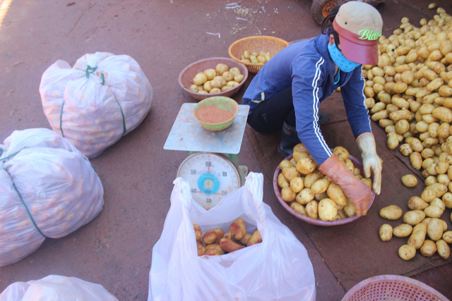 3 tháng, gần 600 tấn khoai tây Trung Quốc được nhập vào Đà Lạt, nông dân khốn đốn