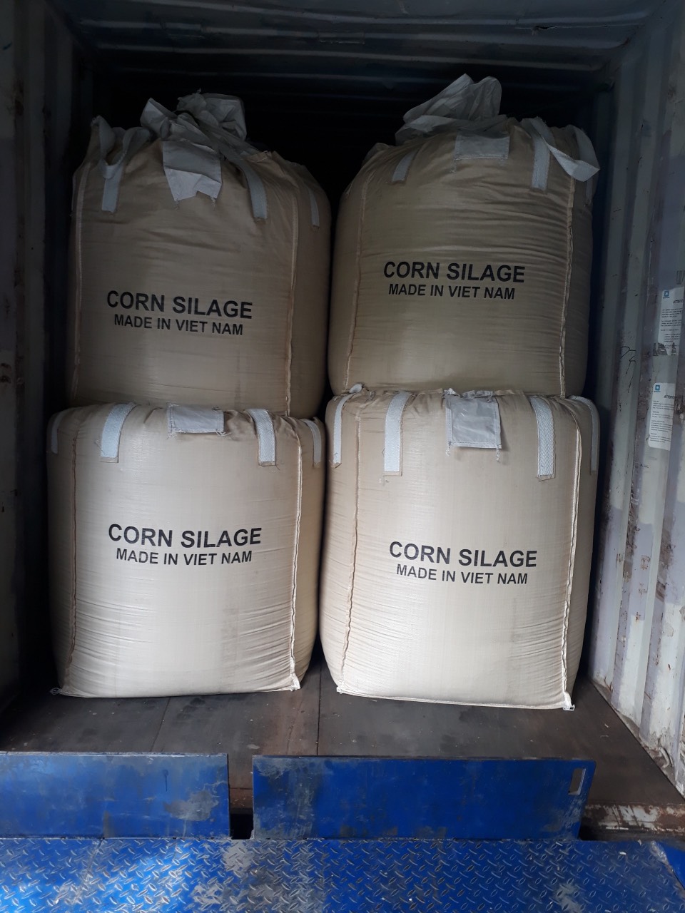 TRVIE Xuất khẩu sản phẩm Ngô ủ chua